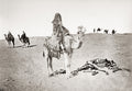 Egypt Bedouin Rider Camel Skeleton Desert Caravan Vtg. Photo 19thC.