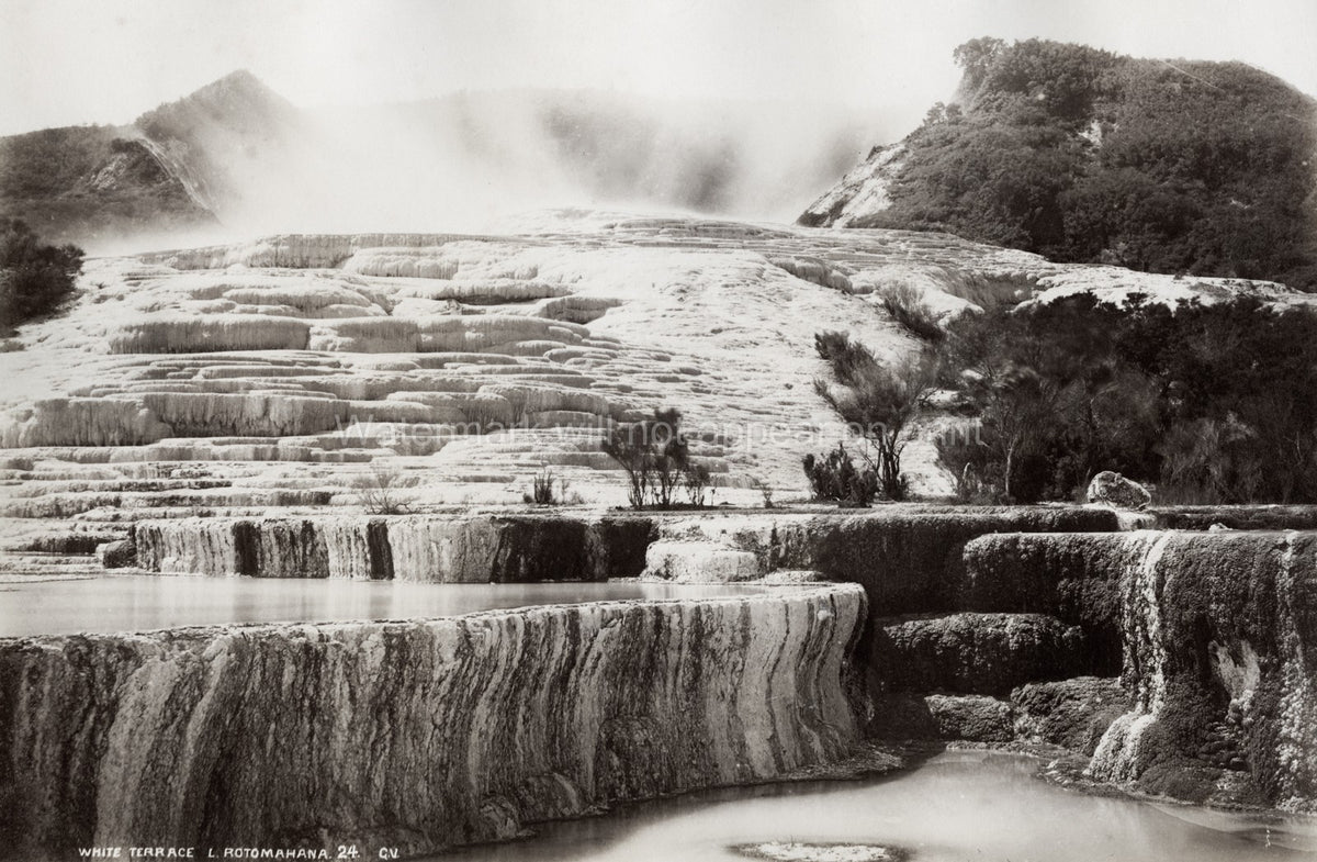 White Terrace Lake Rotomahana New Zealand Geothermal Landscape Vtg. Photo 19thC.