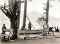 Japan Carpenters Boat Builders Work Traditional Craftsmanship Vtg. Photo 19thC.