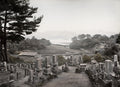 Japan Cemetery Overlooking Harbor Ship Landscape Mountains Vtg. Photo 19thC.