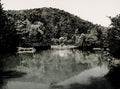 Waldsee Germany Lake Forest Canoe Reflection Scenery Vtg. Photo 19thC.