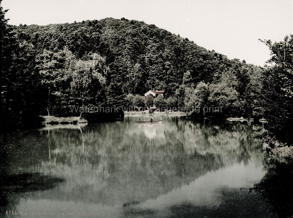 Waldsee Germany Lake Forest Canoe Reflection Scenery Vtg. Photo 19thC.