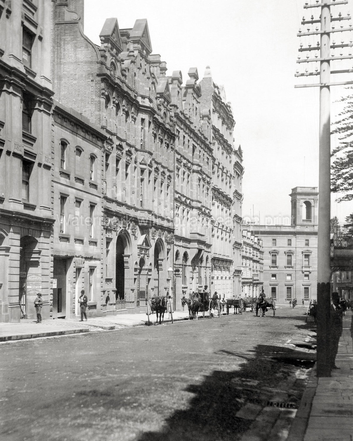 O'Connell Street Sydney Australia Cityscape Architecture Horse Vtg. Photo 19thC.