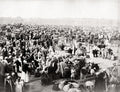 Egypt Sheep Market Livestock Bazaar Crowd Cattle Desert Scene Vtg. Photo 19thC.