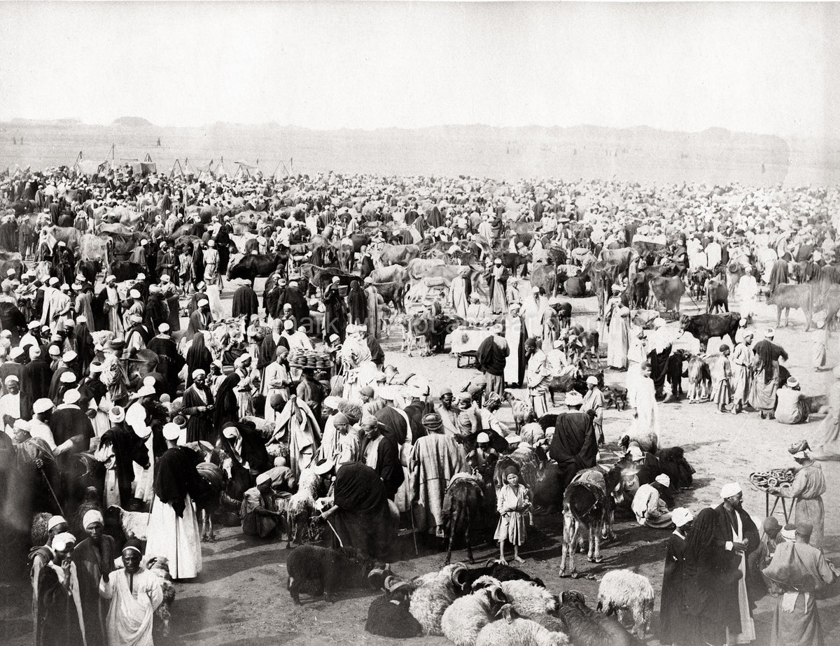 Egypt Sheep Market Livestock Bazaar Crowd Cattle Desert Scene Vtg. Photo 19thC.