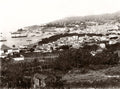 Madeira Portugal Island View Cityscape Harbor Bay Ships Vtg. Photo 19thC.