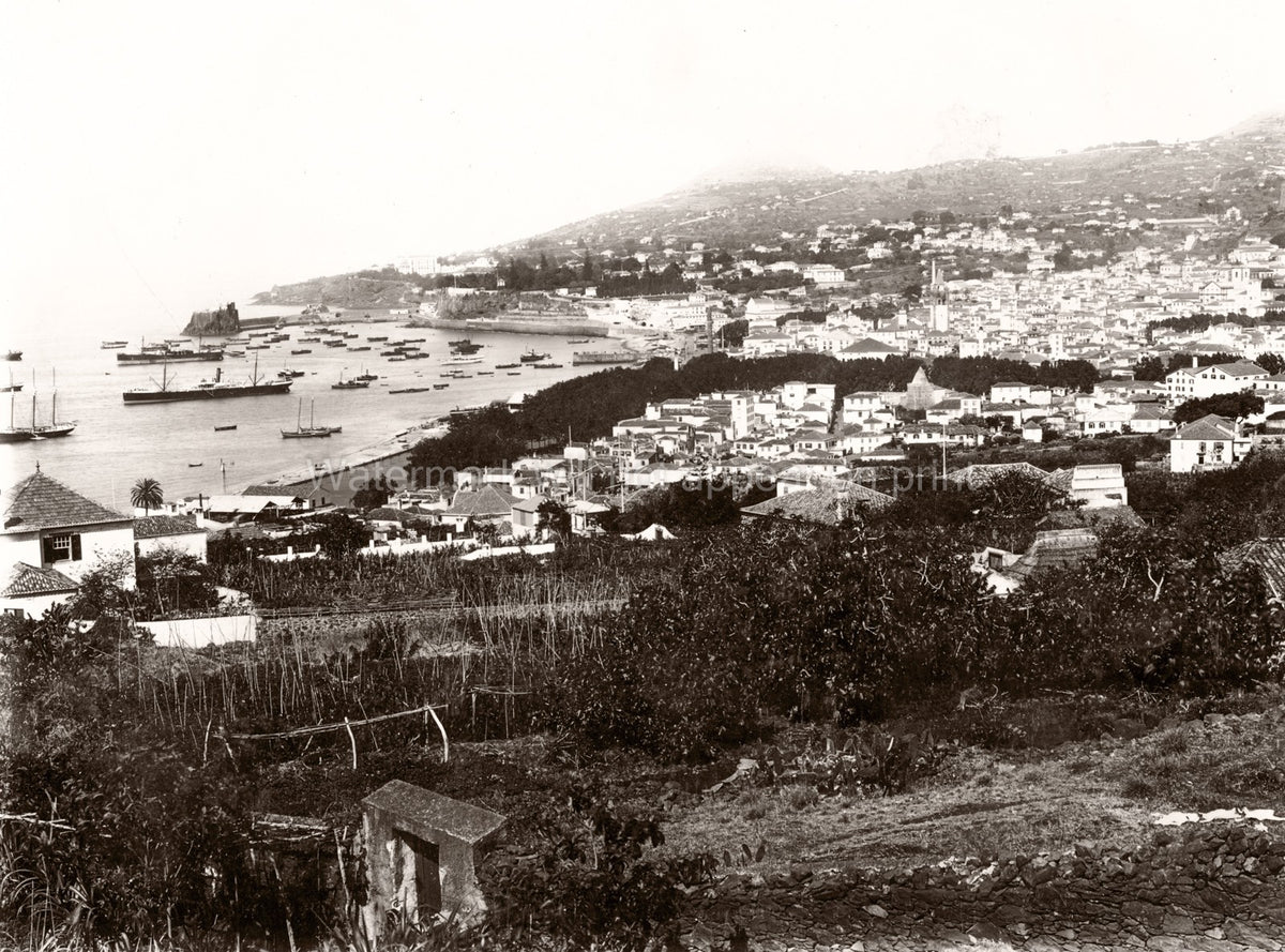 Madeira Portugal Island View Cityscape Harbor Bay Ships Vtg. Photo 19thC.