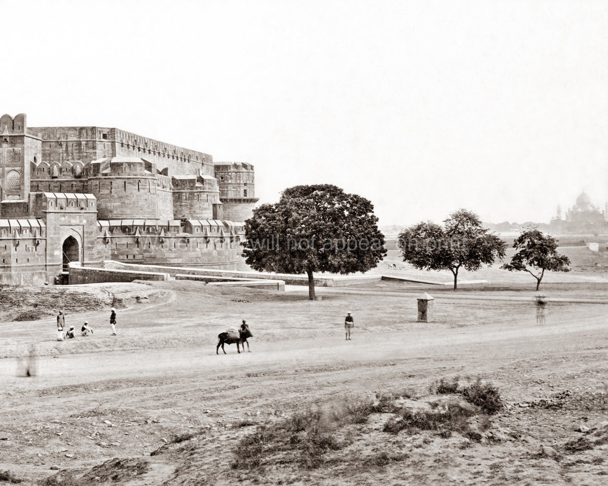 Agra Fort India Fortress Walls Mughal Architecture Taj Mahal Vtg. Photo 19thC.
