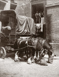 London Dray Horses Nosebags Workers Loading Sacks Wagon Vtg. Photo 20thC.