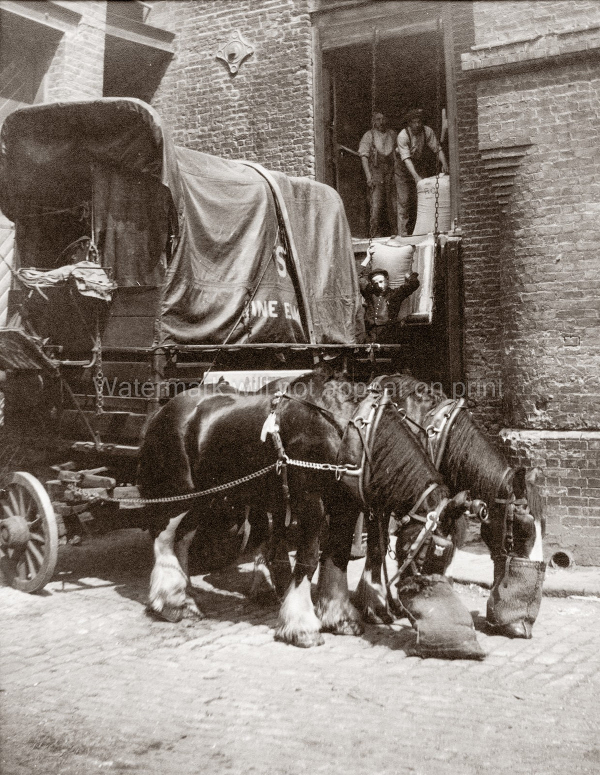 London Dray Horses Nosebags Workers Loading Sacks Wagon Vtg. Photo 20thC.