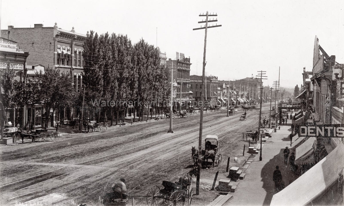 Salt Lake City Utah Main Street East Side Horse Buggies Shops Vtg. Photo 19thC.