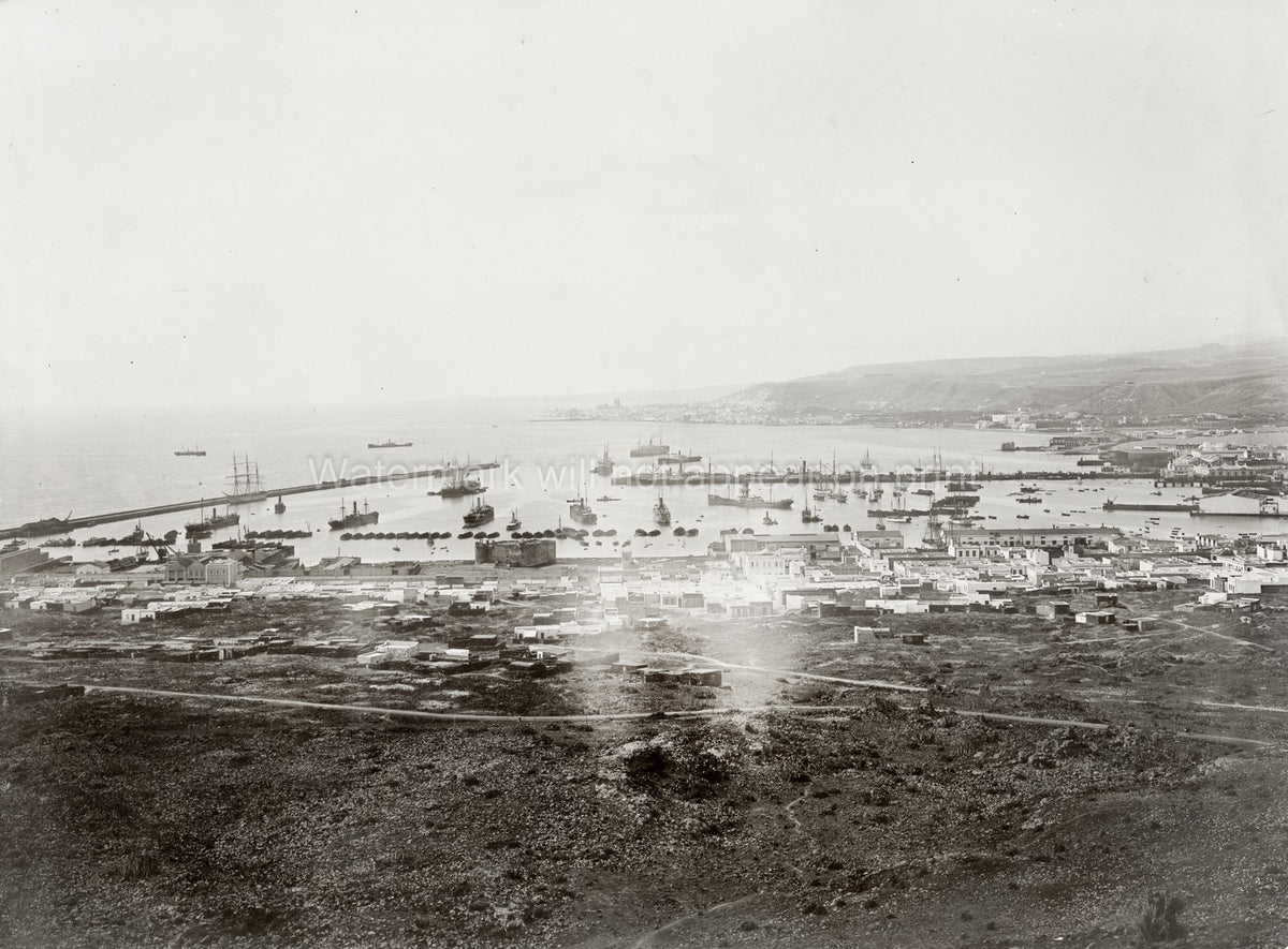 Las Palmas Canary Islands Port Harbor Steamships Seascape Vtg. Photo 19thC.