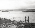 Gathering Cockles Benbecula Outer Hebrides Scotland Women Vtg. Photo 19thC.
