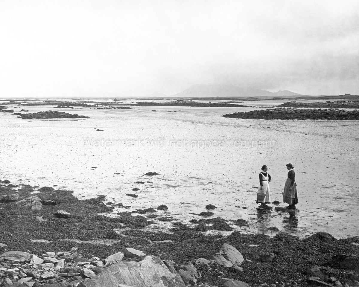 Gathering Cockles Benbecula Outer Hebrides Scotland Women Vtg. Photo 19thC.