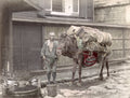 Japan Farmer Pack Horse Barrels Cargo Street Scene Vtg. Photo 19thC.