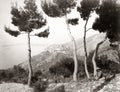 ze France Hilltop Village Landscape Pine Trees Mediterranean Vtg. Photo 19thC.