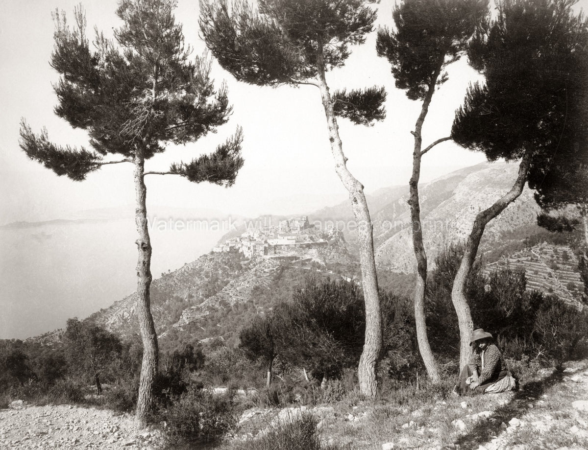 ze France Hilltop Village Landscape Pine Trees Mediterranean Vtg. Photo 19thC.