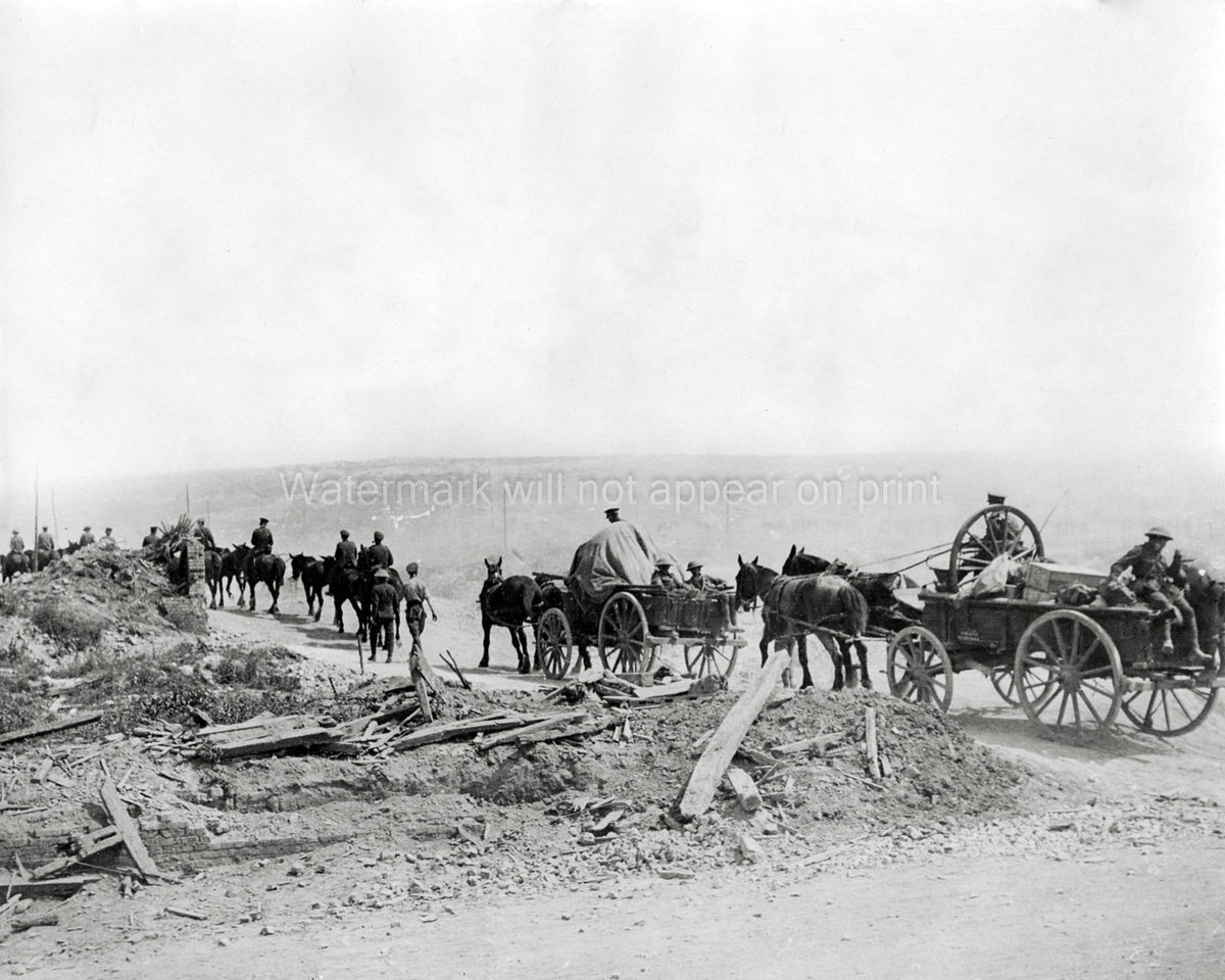 WW1 Troops France Way Firing Line Soldiers Mules Carts Vtg. Photo