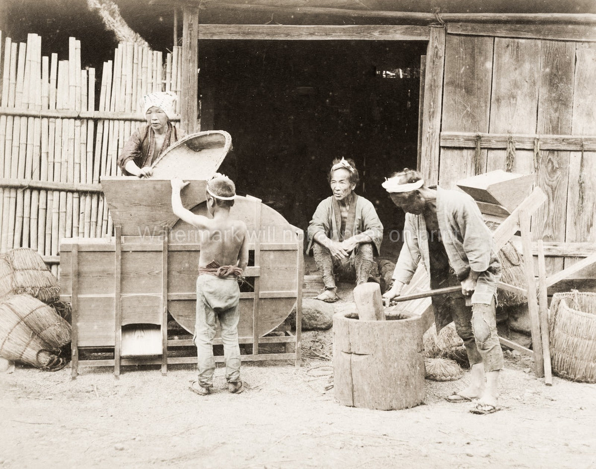 Japanese Farmers Pounding Rice Agriculture Food Processing Vtg. Photo 19thC.