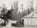 German Hospital Yokohama Japan Architecture Trees Driveway Vtg. Photo 19thC.