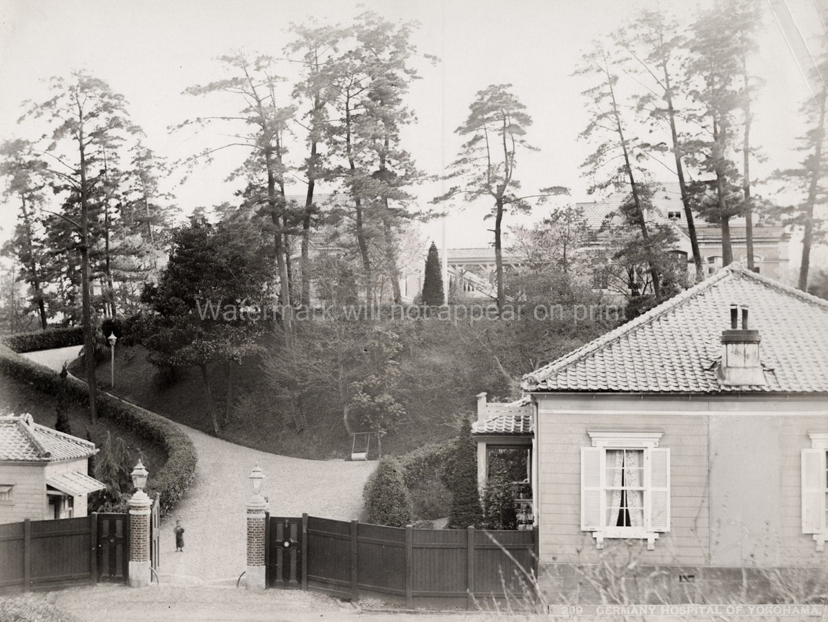German Hospital Yokohama Japan Architecture Trees Driveway Vtg. Photo 19thC.