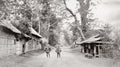 Tokaido Road Japan Rural Village Men Street Scene Trees Vtg. Photo 19thC.