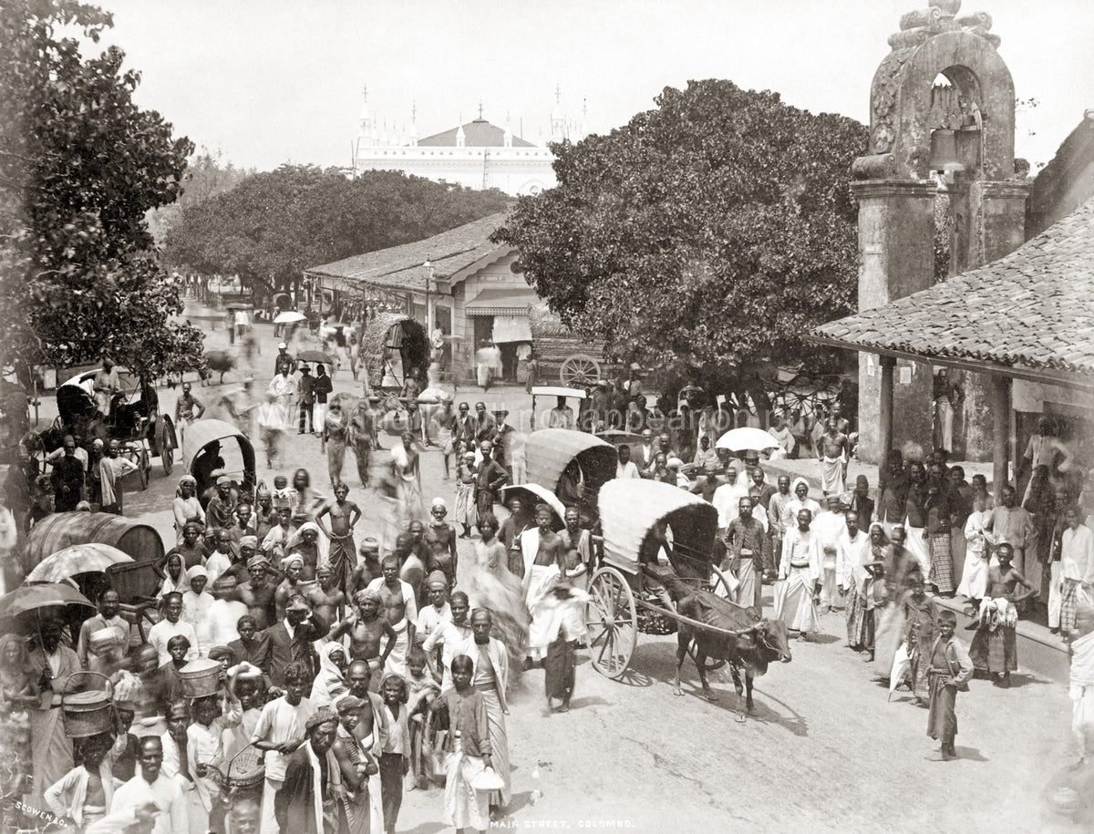 Colombo Ceylon Sri Lanka Street Scene Crowd Bull Carts Market Vtg. Photo 19thC.