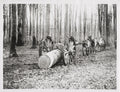 French Forest WW1 Horses Pulling Log Logging Cart Soldiers Vtg. Photo