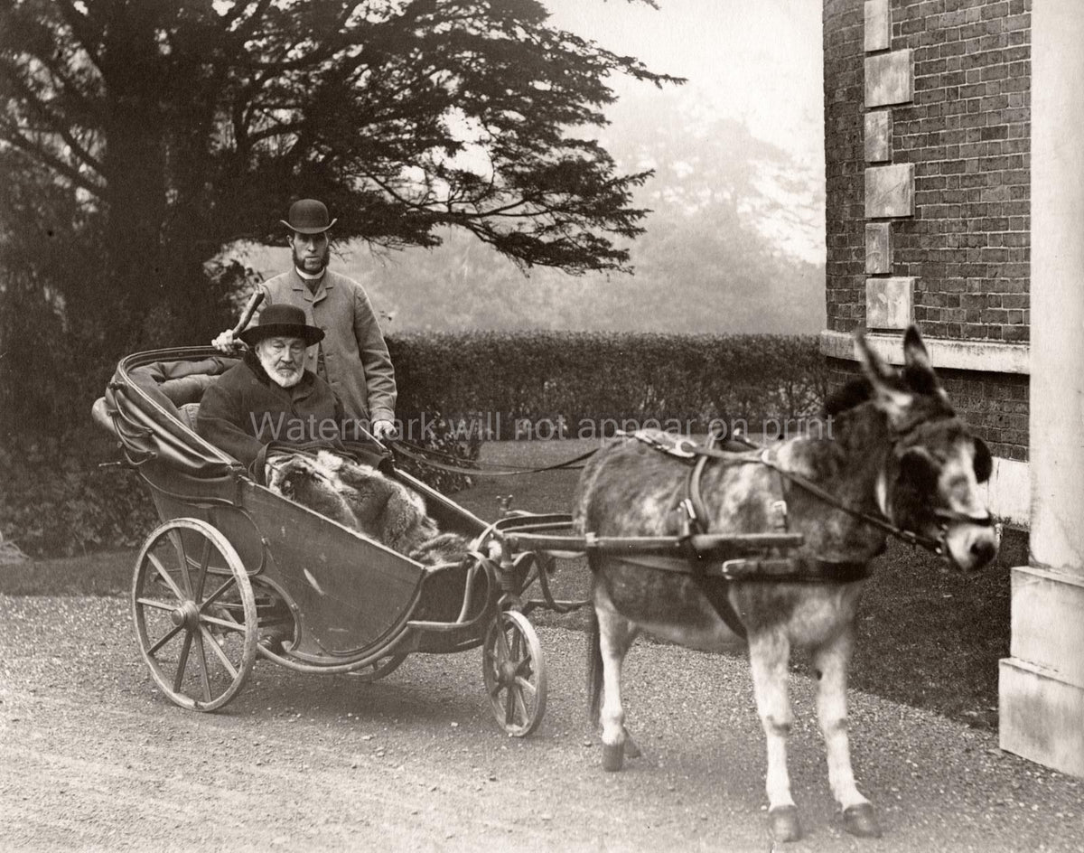 Elderly Man in 3 Wheeled Donkey Cart with Servant Vtg. Photo 19thC.
