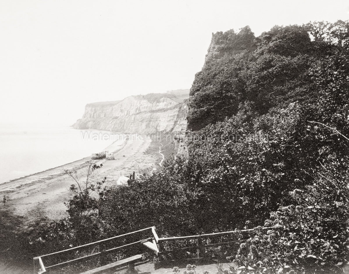 Shanklin Dunnose Isle Wight Cliffs English Channel Seaside Vtg. Photo 19thC.