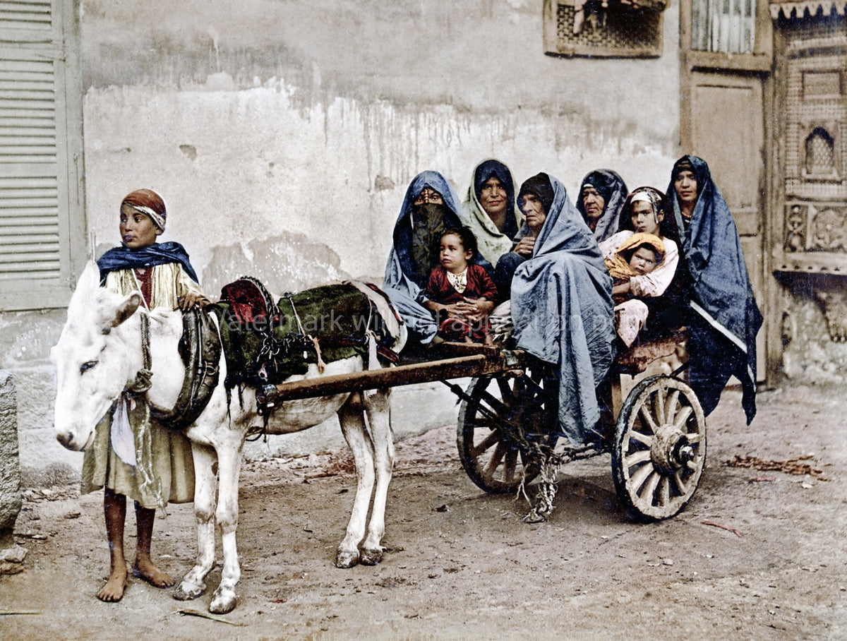Egypt Donkey Cart Women Children Family Street Scene Vtg. Photo 19thC.