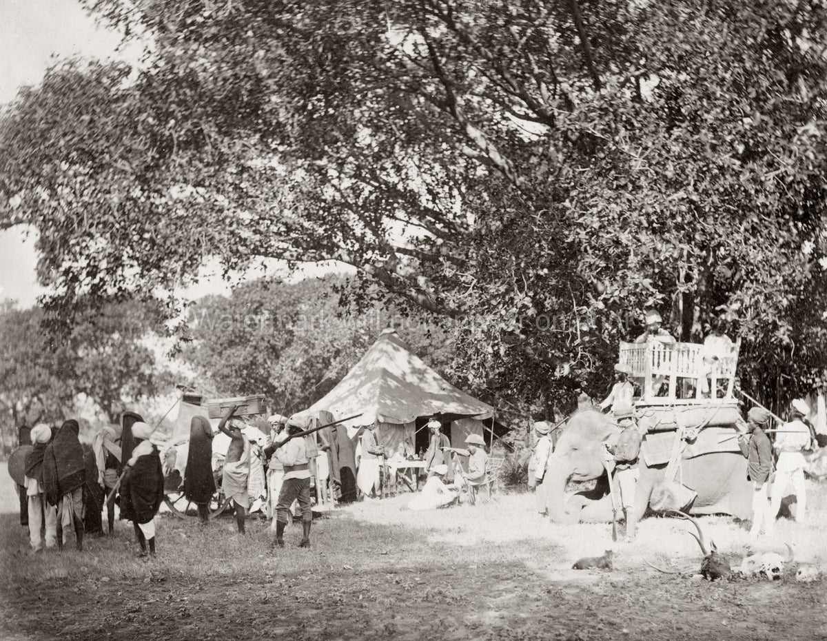 India Big Game Tiger Hunt Hunters Elephant Howdah Camp British Vtg. Photo 19thC.
