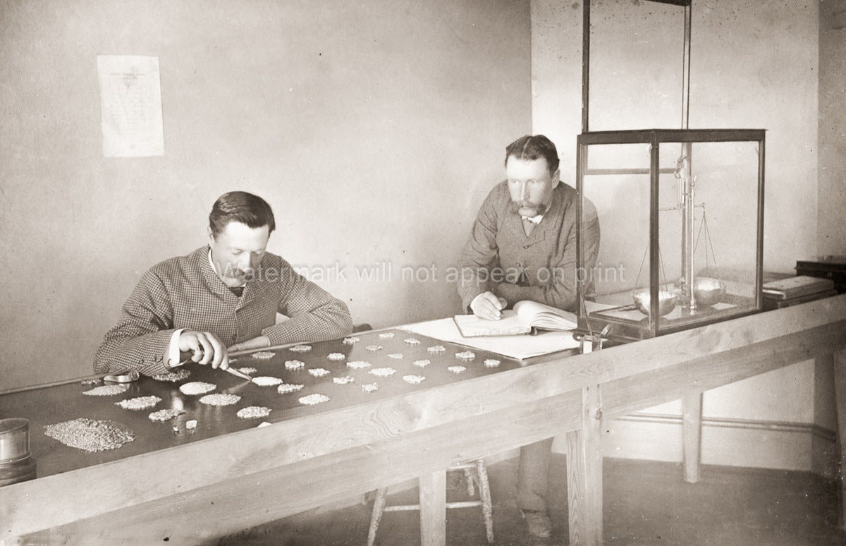 Kimberley South Africa Diamond Office Men Sorting Gems Vtg. Photo 19thC.