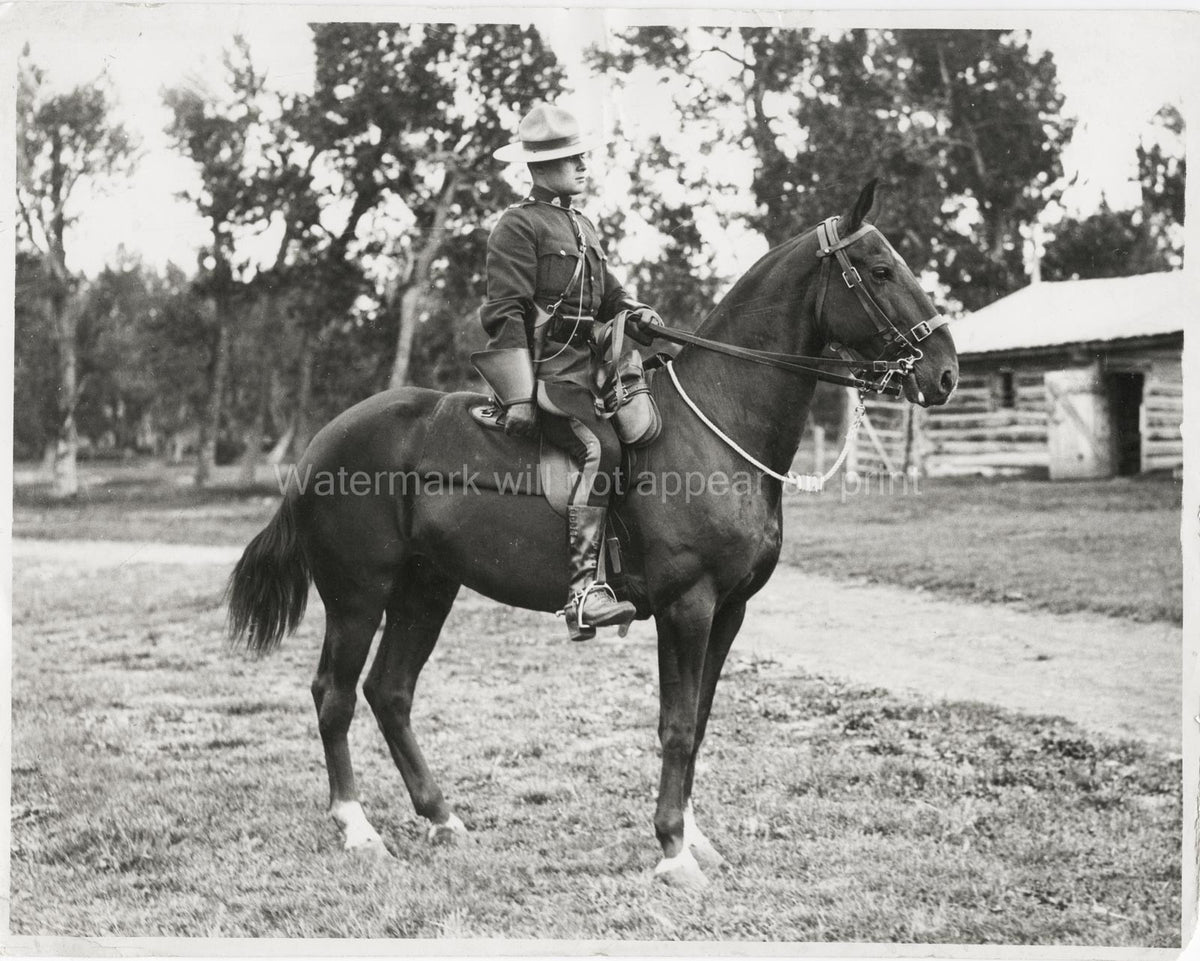 Royal Canadian Mounted Policeman Mountie On Horse Rider Vtg. Photo 20thC.