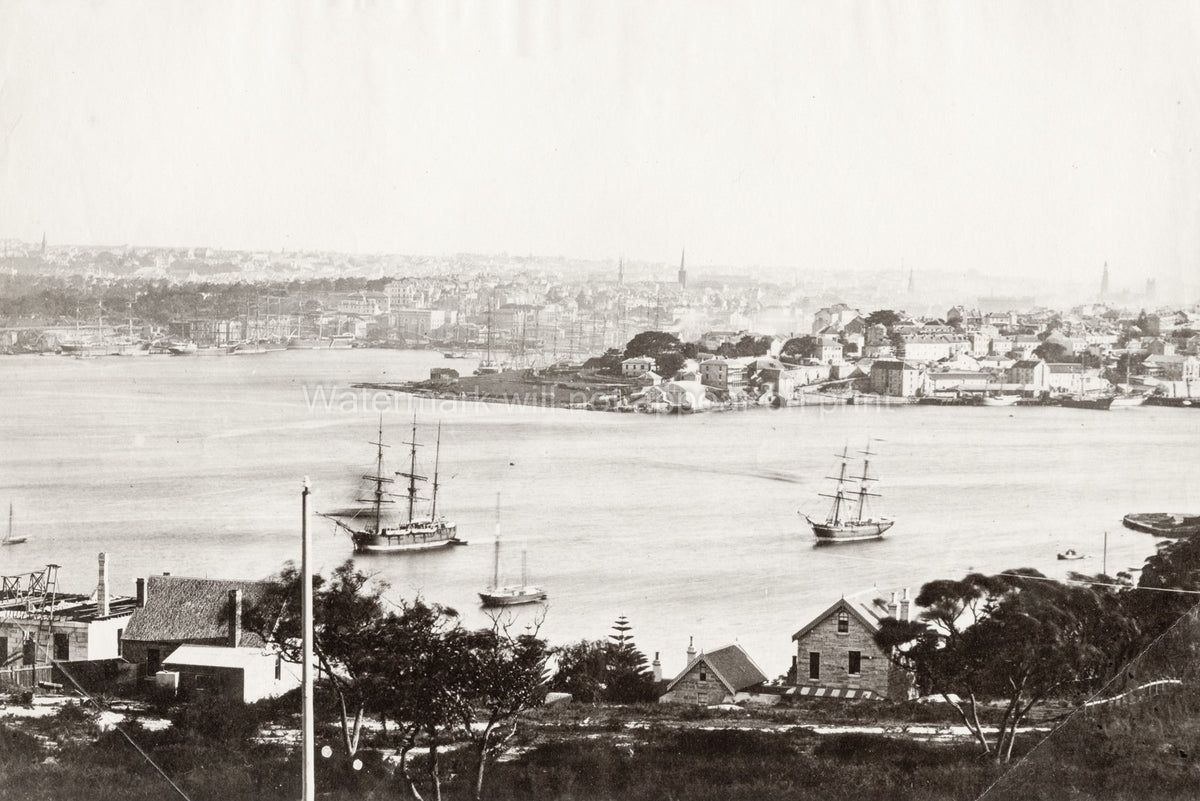 Sydney Harbour Australia Cityscape Waterfront Ships Sailing Vtg. Photo 19thC.