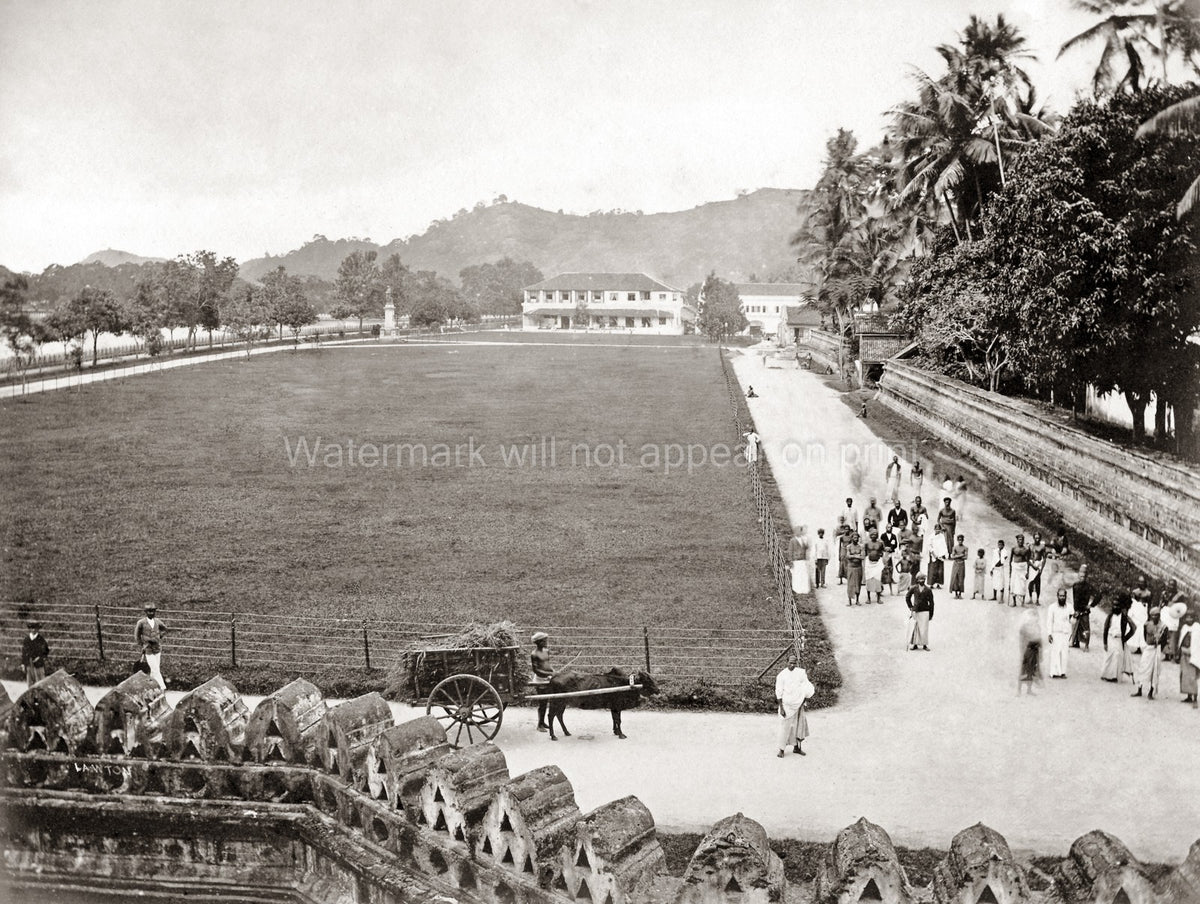 Kandy Ceylon Esplanade Bullock Cart Street Scene Colonial Vtg. Photo 19thC.