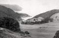 Lee Abbey Bay Devon Coastal Scenery Landscape Cattle Cliffs Vtg. Photo 19thC.