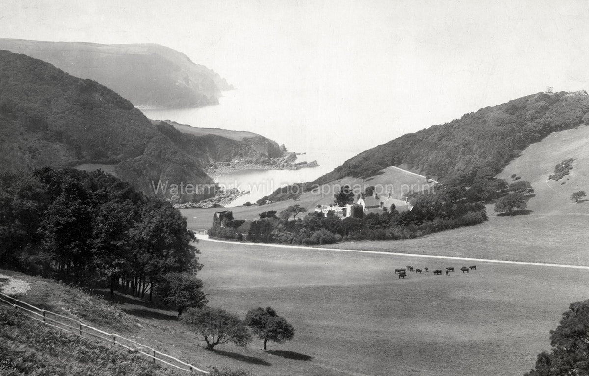 Lee Abbey Bay Devon Coastal Scenery Landscape Cattle Cliffs Vtg. Photo 19thC.