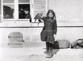 WW1 Refugee Child Pet Parrot Girl Bird Window Street Vtg. Photo