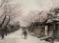 Japan Yokohama Nogeyama Cherry Blossom Sakura Rickshaw Street Vtg. Photo 19thC.