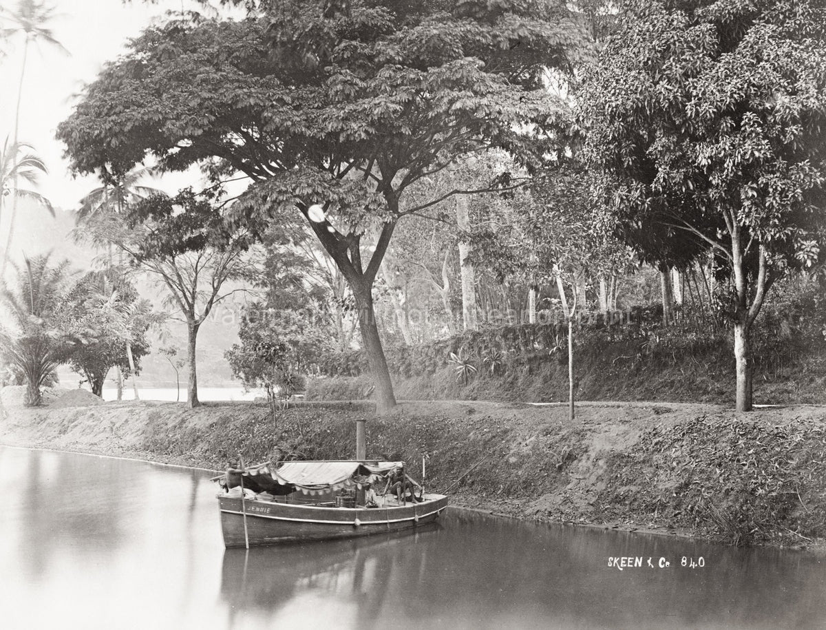 Kandy Lake Ceylon Sri Lanka Boat Jennie Tropical Landscape Vtg. Photo 19thC.