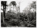 WW1 World War 2 Tanks Wood Military Soldiers Armored Vtg. Photo