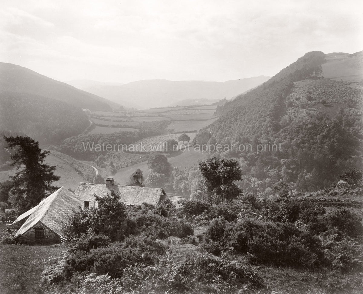 Llyfnant Valley Powys Wales Rural Landscape Farmhouse Hills Vtg. Photo 19thC.