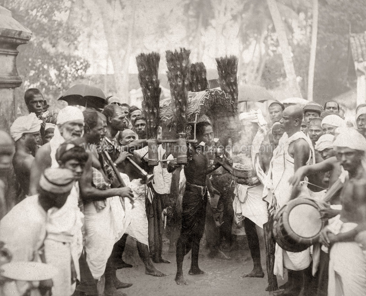 India Religious Procession Ceremony Musicians Peacock Feathers Vtg. Photo 19thC.