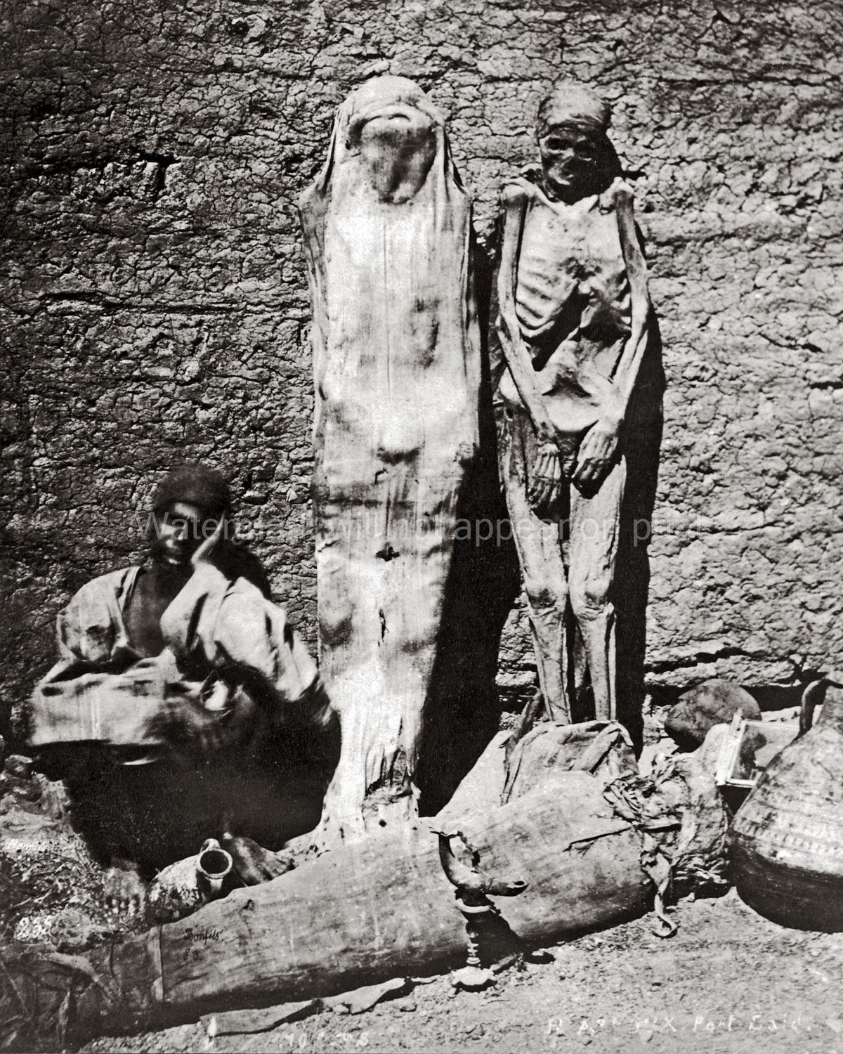 Egypt Mummies For Sale Skeleton Ancient Artifacts Excavation Vtg. Photo 19thC.