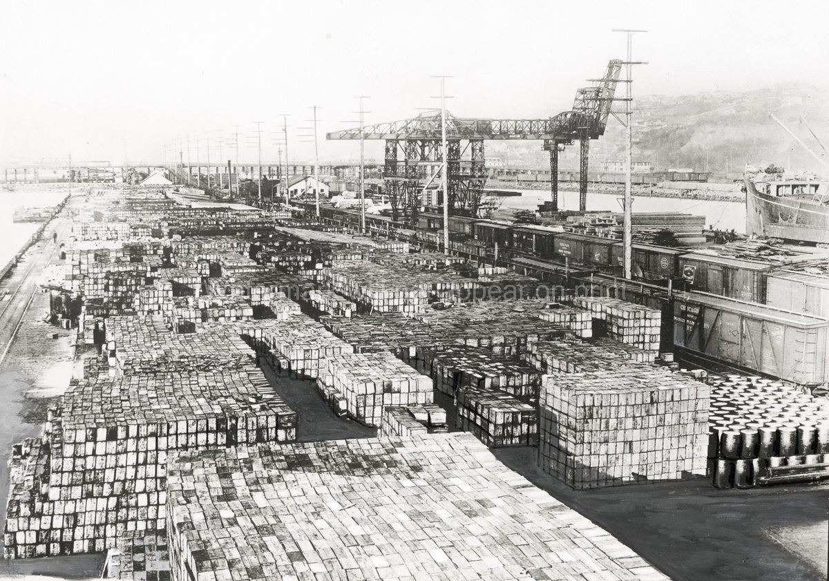 Seattle Washington Harbour Docks Industrial Cranes Trains Vtg. Photo 20thC.