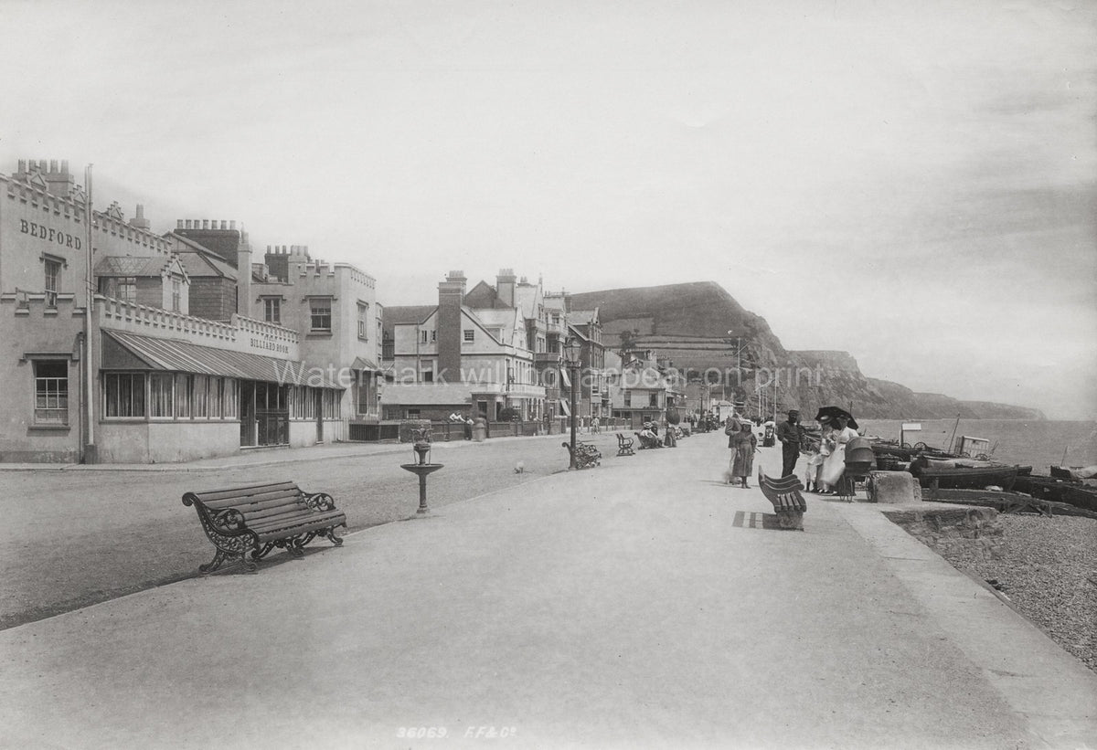 Esplanade Sidmouth Devon Seaside Resort Promenade Cliffs Vtg. Photo 19thC.