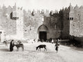 Jerusalem Damascus Gate Old City Walls Fortress People Donkeys Vtg. Photo 19thC.