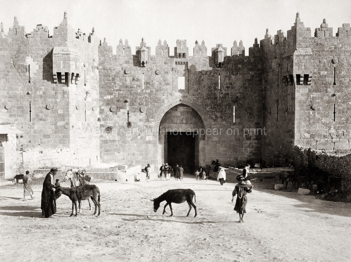 Jerusalem Damascus Gate Old City Walls Fortress People Donkeys Vtg. Photo 19thC.