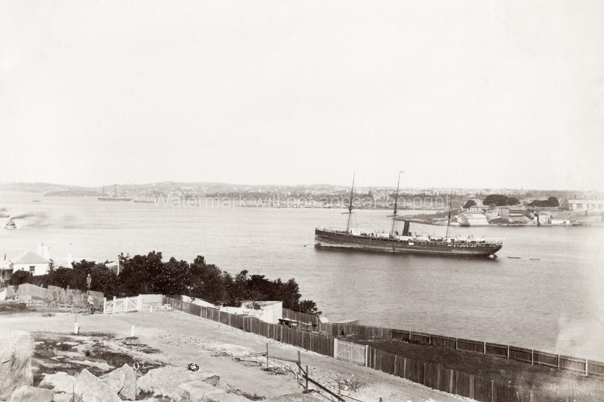 Sydney Harbour North Shore Australia Steamship Boats Seascape Vtg. Photo 19thC.